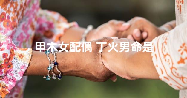 甲木女配偶 丁火男命是